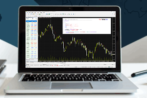 Build Your Trading Bot